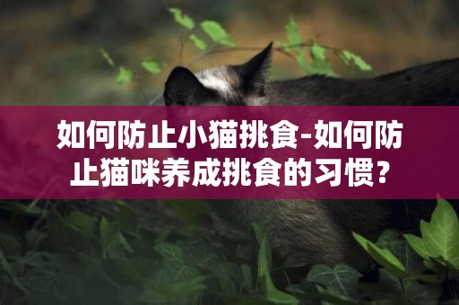 如何防止小貓挑食-如何防止貓咪養成挑食的習慣？