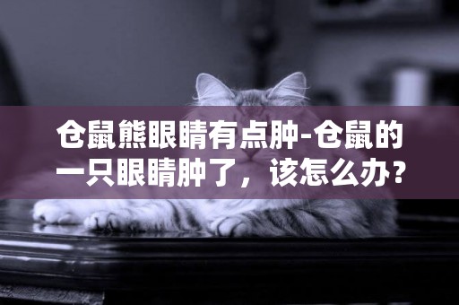 倉鼠熊眼睛有點腫-倉鼠的一只眼睛腫了，該怎么辦？