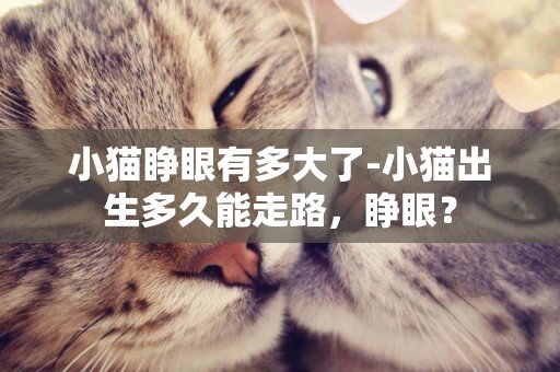 小貓睜眼有多大了-小貓出生多久能走路，睜眼？