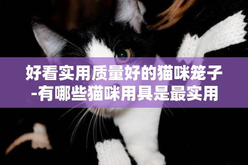 好看實用質量好的貓咪籠子-有哪些貓咪用具是最實用的？