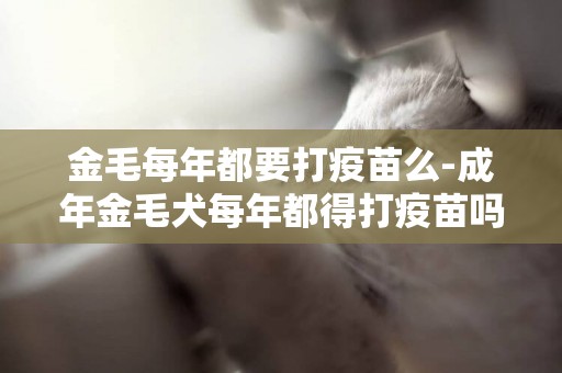 金毛每年都要打疫苗么-成年金毛犬每年都得打疫苗嗎