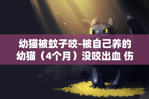 幼貓被蚊子咬-被自己養的幼貓（4個月）沒咬出血 傷口像是被蚊子咬的一樣 有點小腫 用過氧化氫溶液清洗