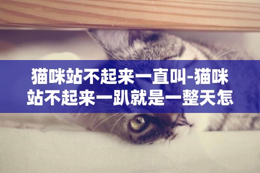 貓咪站不起來一直叫-貓咪站不起來一趴就是一整天怎么辦？