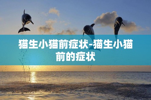貓生小貓前癥狀-貓生小貓前的癥狀