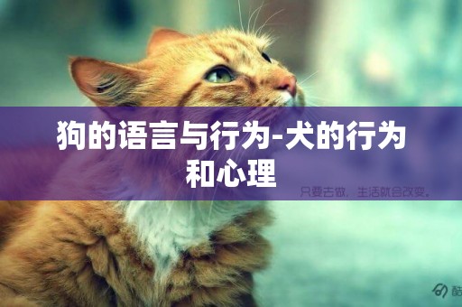 狗的語言與行為-犬的行為和心理