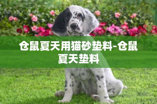倉鼠夏天用貓砂墊料-倉鼠夏天墊料