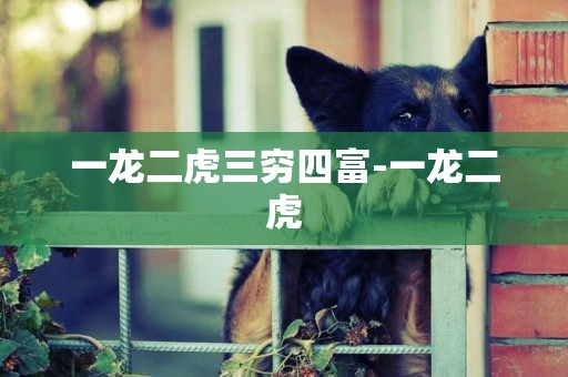 一龍二虎三窮四富-一龍二虎