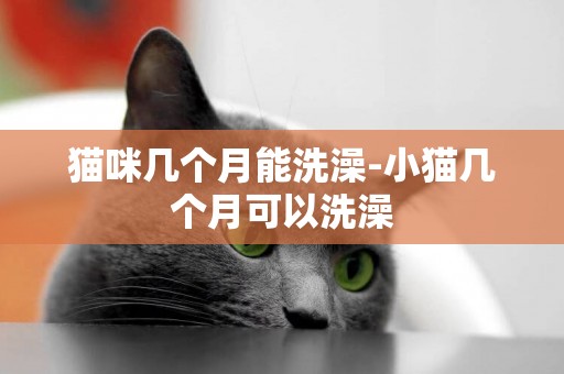 貓咪幾個月能洗澡-小貓幾個月可以洗澡