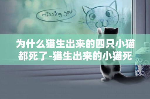 為什么貓生出來的四只小貓都死了-貓生出來的小貓死了
