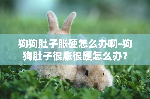 狗狗肚子脹硬怎么辦啊-狗狗肚子很脹很硬怎么辦？