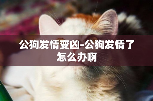 公狗發情變兇-公狗發情了怎么辦啊