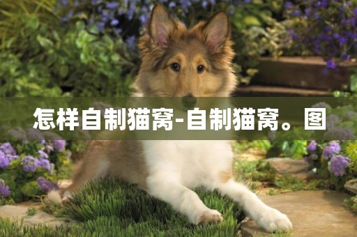 怎樣自制貓窩-自制貓窩。圖