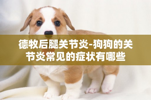 德牧后腿關節炎-狗狗的關節炎常見的癥狀有哪些