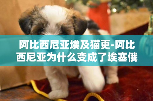 阿比西尼亞埃及貓更-阿比西尼亞為什么變成了埃塞俄比亞？
