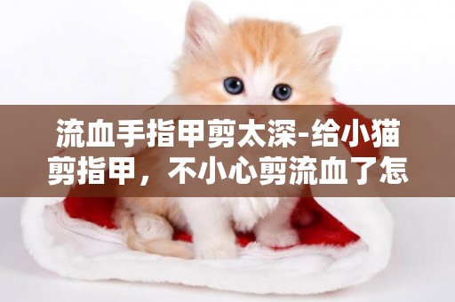 流血手指甲剪太深-給小貓剪指甲，不小心剪流血了怎么辦?