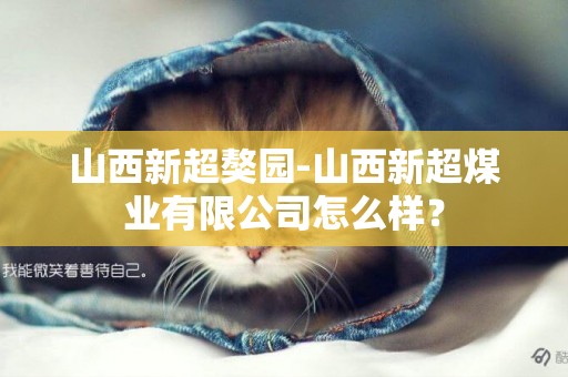 山西新超獒園-山西新超煤業有限公司怎么樣？