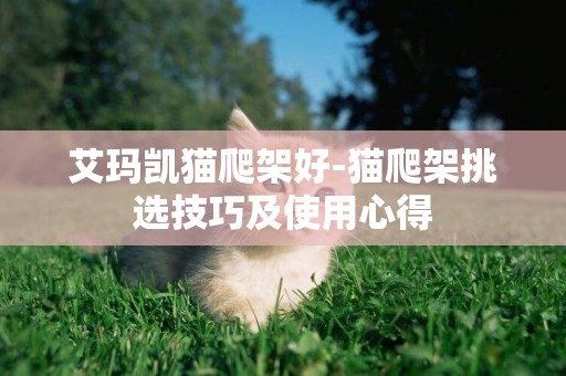艾瑪凱貓爬架好-貓爬架挑選技巧及使用心得