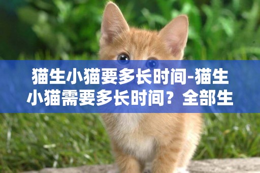 貓生小貓要多長時間-貓生小貓需要多長時間？全部生完？