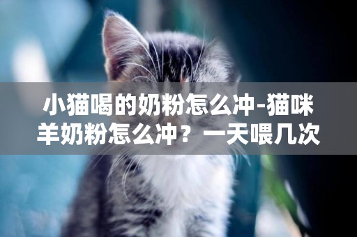 小貓喝的奶粉怎么沖-貓咪羊奶粉怎么沖？一天喂幾次？