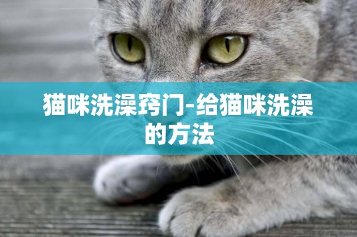 貓咪洗澡竅門-給貓咪洗澡的方法