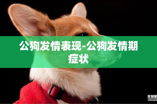 公狗發情表現-公狗發情期癥狀