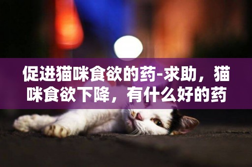 促進貓咪食欲的藥-求助，貓咪食欲下降，有什么好的藥品