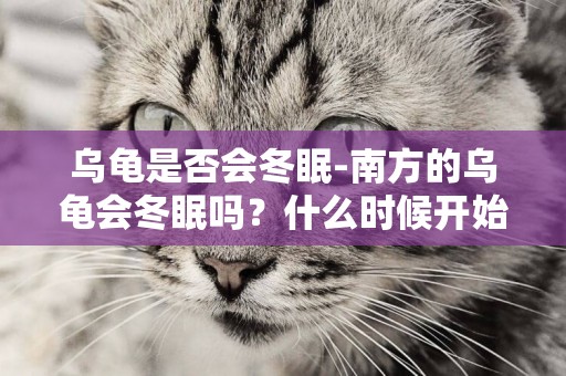 烏龜是否會冬眠-南方的烏龜會冬眠嗎？什么時候開始冬眠？