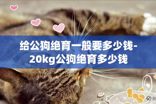 給公狗絕育一般要多少錢-20kg公狗絕育多少錢