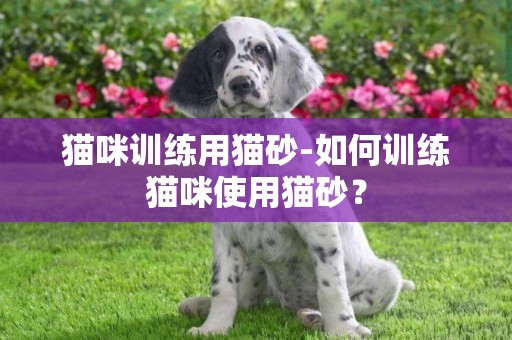 貓咪訓練用貓砂-如何訓練貓咪使用貓砂？