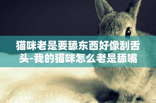 貓咪老是要舔東西好像刮舌頭-我的貓咪怎么老是舔嘴巴