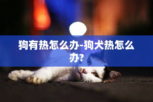 狗有熱怎么辦-狗犬熱怎么辦?