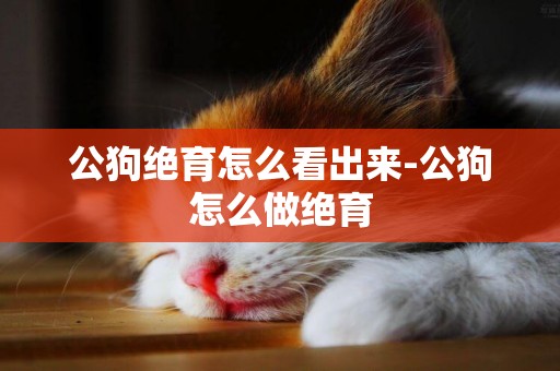 公狗絕育怎么看出來-公狗怎么做絕育