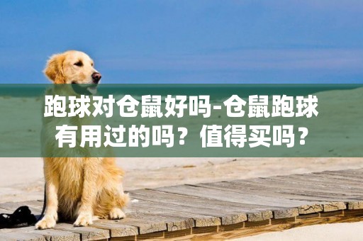 跑球對倉鼠好嗎-倉鼠跑球有用過的嗎？值得買嗎？