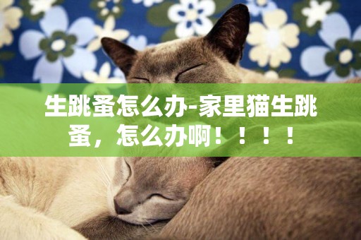 生跳蚤怎么辦-家里貓生跳蚤，怎么辦啊！！！！