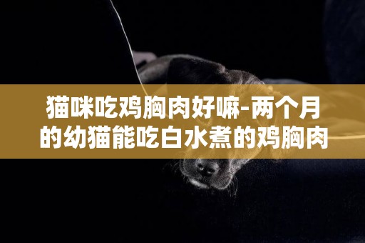 貓咪吃雞胸肉好嘛-兩個月的幼貓能吃白水煮的雞胸肉嗎