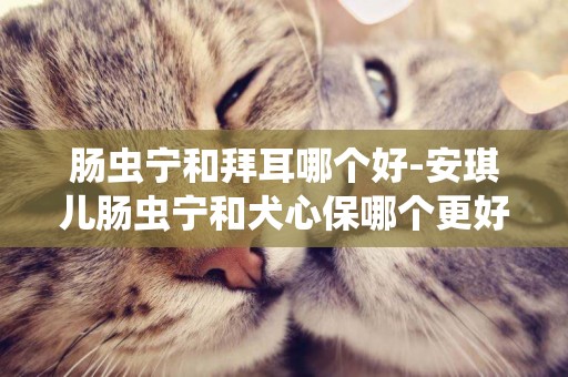 腸蟲寧和拜耳哪個好-安琪兒腸蟲寧和犬心保哪個更好？