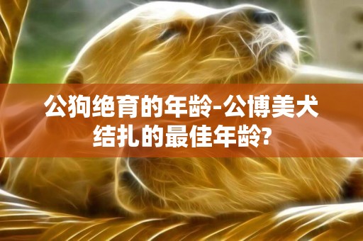 公狗絕育的年齡-公博美犬結扎的最佳年齡?