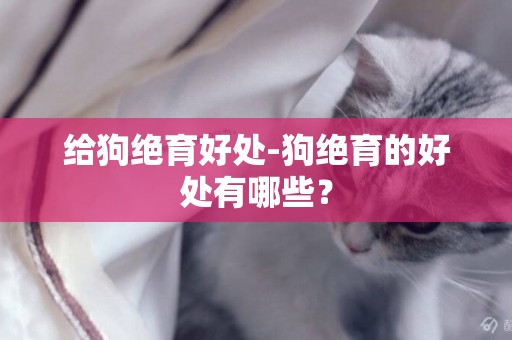 給狗絕育好處-狗絕育的好處有哪些？