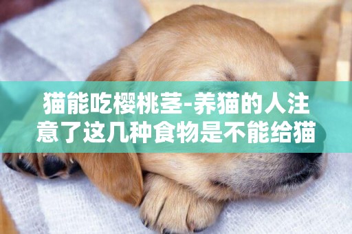 貓能吃櫻桃莖-養貓的人注意了這幾種食物是不能給貓吃的