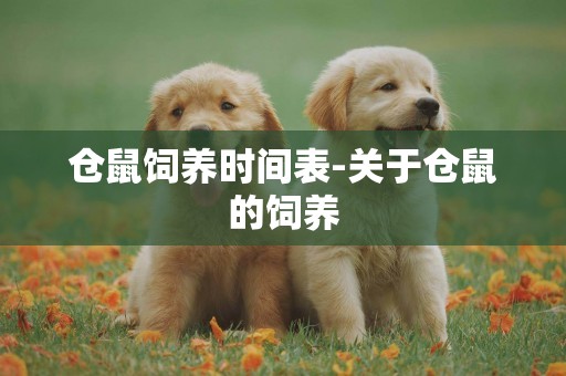 倉鼠飼養時間表-關于倉鼠的飼養