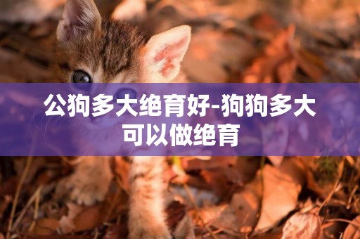 公狗多大絕育好-狗狗多大可以做絕育