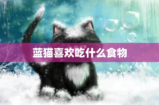 藍貓喜歡吃什么食物