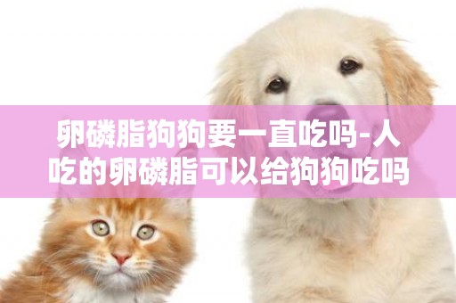 卵磷脂狗狗要一直吃嗎-人吃的卵磷脂可以給狗狗吃嗎