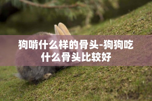 狗啃什么樣的骨頭-狗狗吃什么骨頭比較好