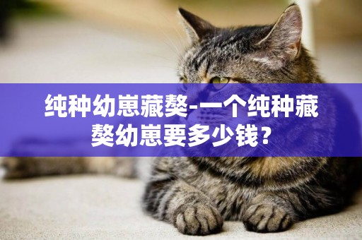 純種幼崽藏獒-一個純種藏獒幼崽要多少錢？