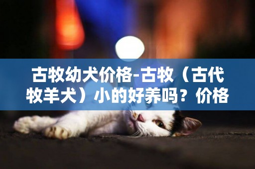 古牧幼犬價格-古牧（古代牧羊犬）小的好養嗎？價格多少？