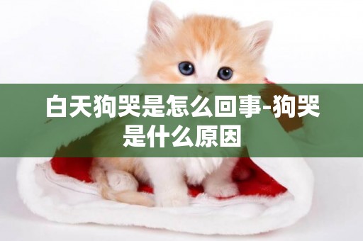 白天狗哭是怎么回事-狗哭是什么原因