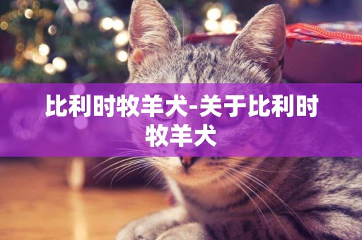 比利時牧羊犬-關于比利時牧羊犬
