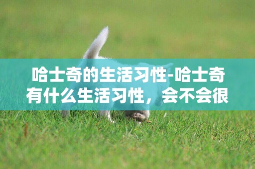 哈士奇的生活習性-哈士奇有什么生活習性，會不會很難養？
