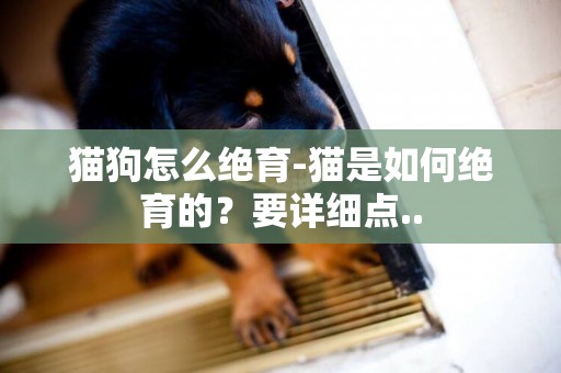 貓狗怎么絕育-貓是如何絕育的？要詳細點..